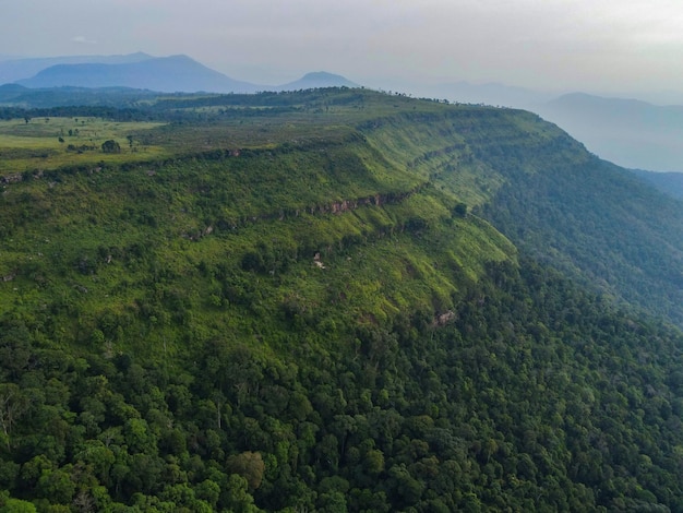 Árbol forestal de vista superior aérea Acantilado grande en la montaña en el ecosistema de la selva tropical asiática y concepto y fondo de ambiente saludable Textura de la vista del bosque de árboles verdes desde arriba