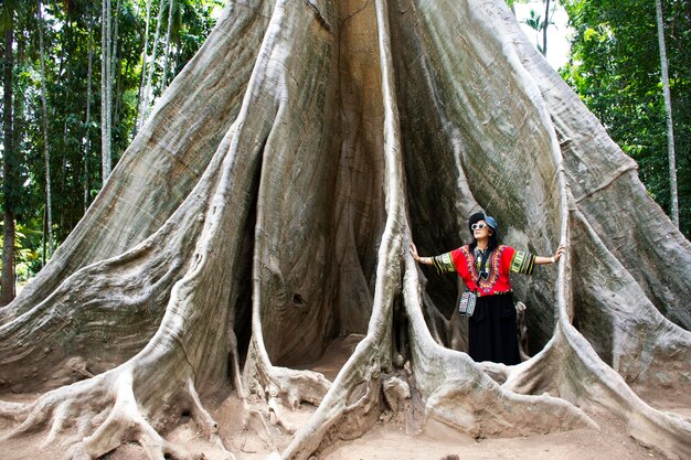 Árbol gigante de Ton Phueng o planta más grande de Ton Siang de Baan Sanam en Ban Rai en Uthai Thani Tailandia