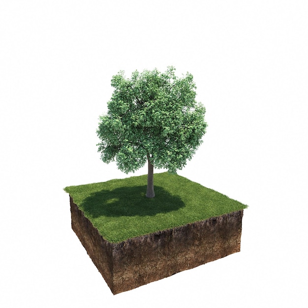 Árbol de hoja caduca y suelo cortado debajo de él. Elemento de jardín aislado, ilustración 3D, cg render