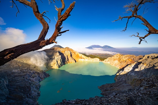 Árbol sin hojas de madera muerta con lago de agua turquesa Naturaleza hermosa Paisaje montaña y lago verde en el volcán Kawah Ijen Java Oriental Indonesia