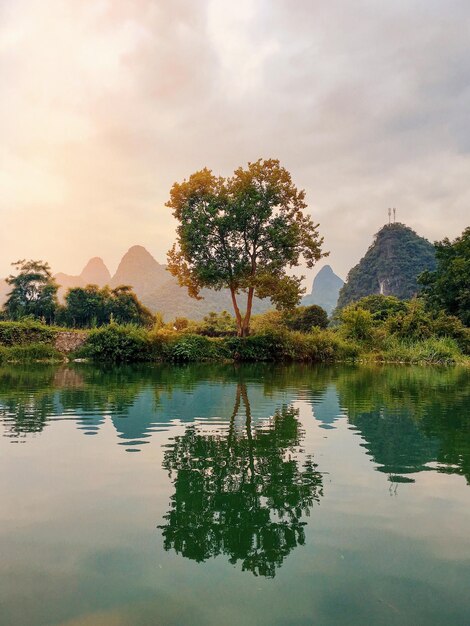 Árbol junto al lago contra el cielo durante la puesta de sol