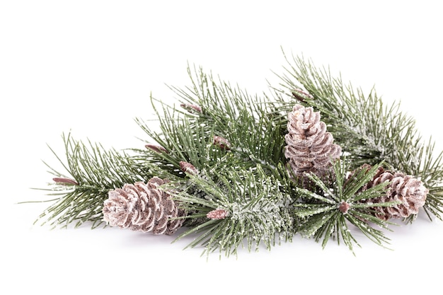 Árbol de Navidad aislado sobre un fondo blanco.