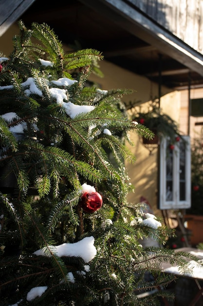 Árbol de Navidad cubierto de nieve fuera de casa en invierno