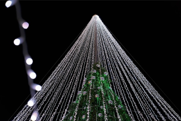 Árbol de Navidad con decoración instalado en la Plaza de la Catedral de Vilnius en Lituania. Tiene luces de hadas como si fuera un velo de novia. Iluminado por la noche