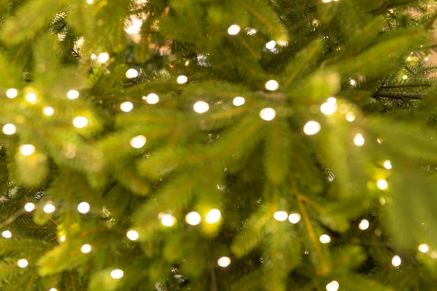 Árbol de Navidad desenfocado Luces desenfocadas Fondo del árbol de Navidad