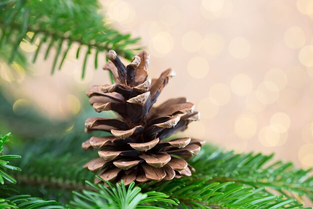 Árbol de Navidad el fondo bokeh. Fondos de tarjetas de felicitación de Navidad.