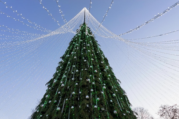 Árbol de Navidad con guirnaldas decorativas instalado en la Plaza de la Catedral de Vilnius, Lituania. Tiene luces de hadas como si fuera un velo de novia. Por la tarde
