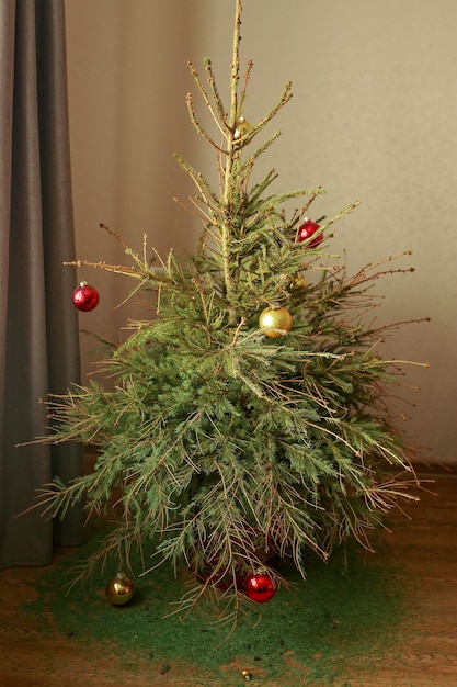Árbol de Navidad marchito que se desvanece con agujas que se desmoronan