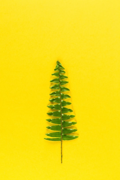 Árbol de Navidad minimalista sobre fondo amarillo pastel de moda