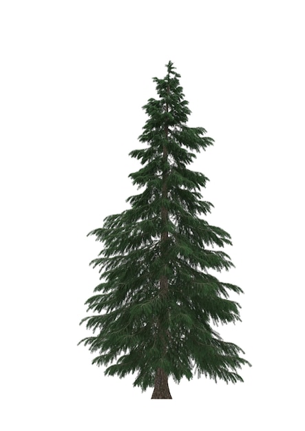 Árbol de navidad de pino verde aislado sobre fondo blanco Diseño de banner Ilustración 3D cg render