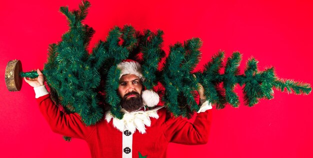 Árbol de navidad santa claus llevando abeto hombre disfrazado de santa con pino vacaciones de invierno