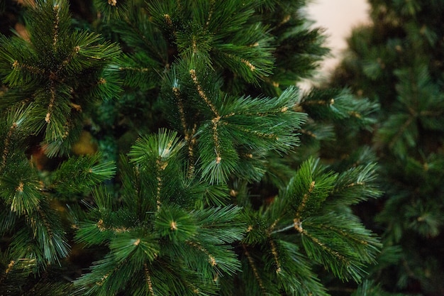 Árbol de Navidad