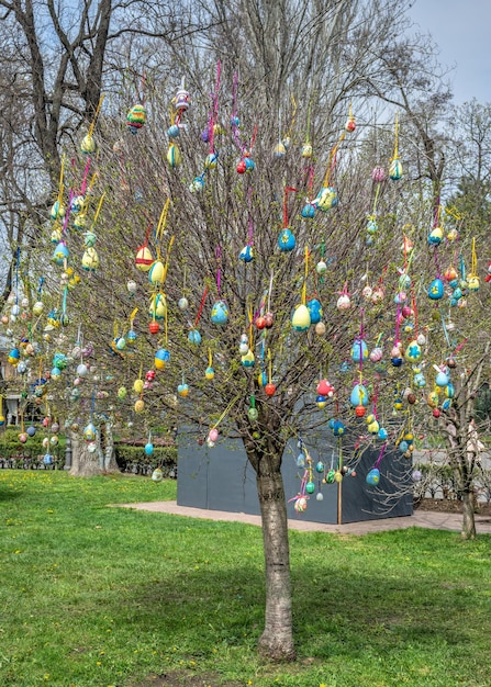 Árbol de Pascua en el centro histórico de Odessa Ucrania