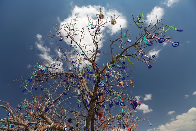 Árbol de perlas de mal de ojo en el valle de las palomas Cappadocia Nevsehir Turquía