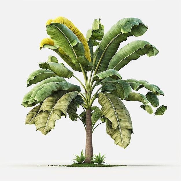 Árbol de plátano verde jardín aislado fondo blanco Imagen generada por AI