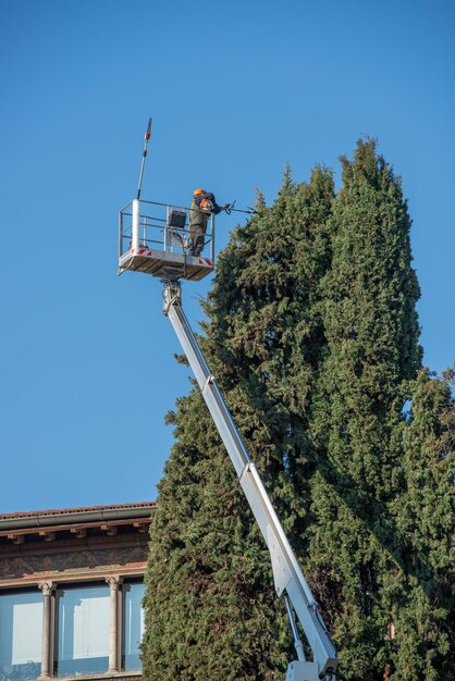 Árbol de poda de jardinero en plataforma móvil