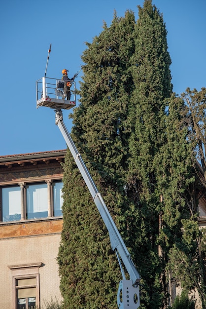 Árbol de poda de jardinero en plataforma móvil