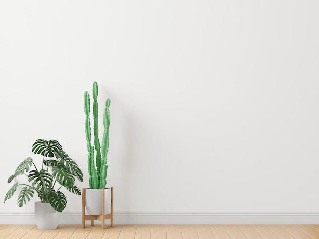 Árbol de la sala de estar en la pared blanca modelo de pared de estilo minimalista renderización 3D