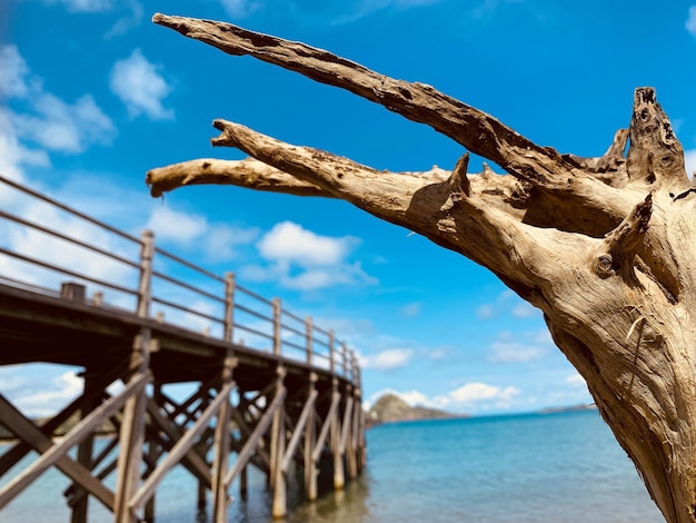 Árbol seco junto al puente de madera en la playa con cielo azul nublado