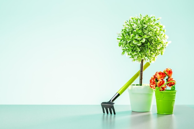 Árbol verde en maceta flores rosadas en un pequeño cubo meatal y herramientas sobre fondo verde con lugar para el texto Concepto de jardinería