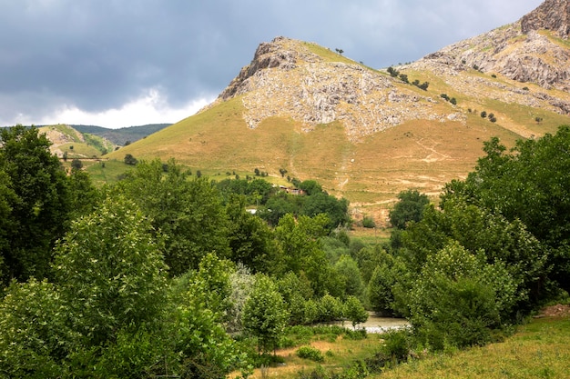 Árboles alrededor de la meseta de la montaña