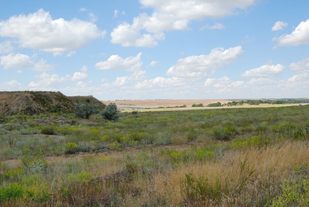 Árboles en el campo contra el cielo azul con nubes