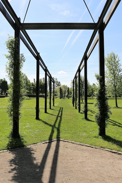 Árboles en el campo contra el cielo