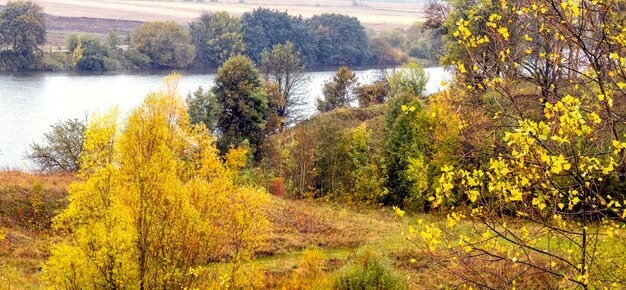 Árboles coloridos en el bosque de otoño junto al río