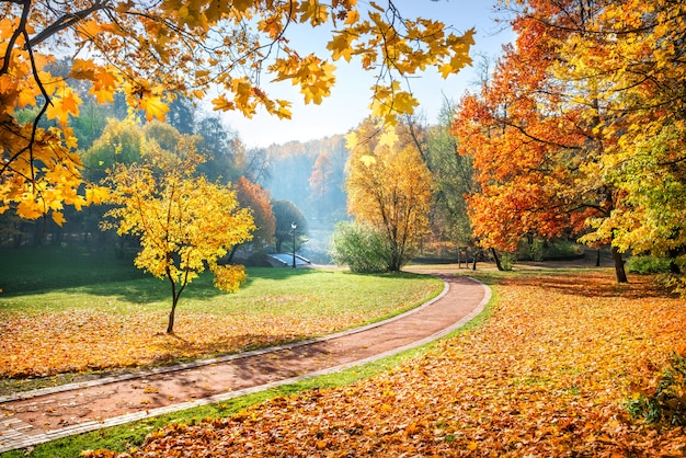 Árboles coloridos en el parque de otoño Tsaritsyno en Moscú