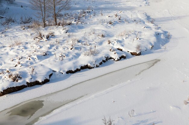 Árboles cubiertos de nieve en invierno