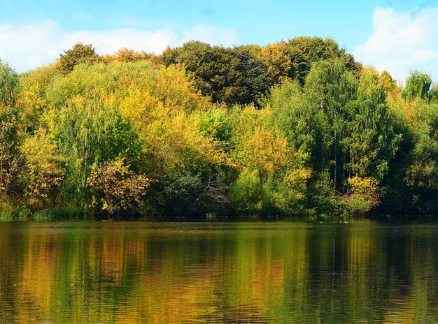 Árboles dramáticos reflejos de agua en el parque de otoño