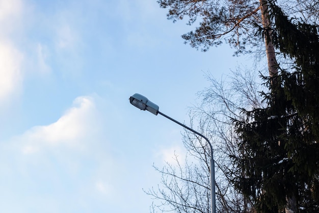 Árboles y farolas contra el cielo y las nubes.