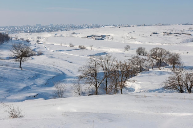 Árboles helados de cuento de hadas de invierno