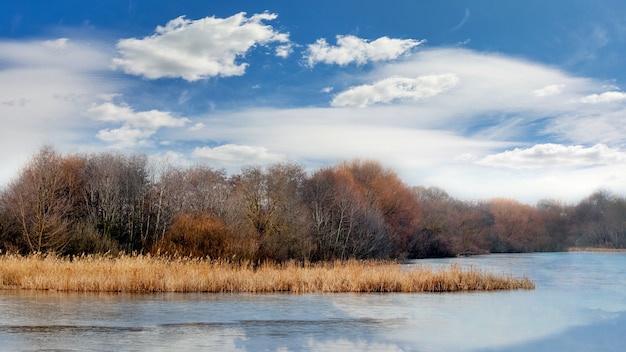 Árboles sin hojas sobre el río en otoño