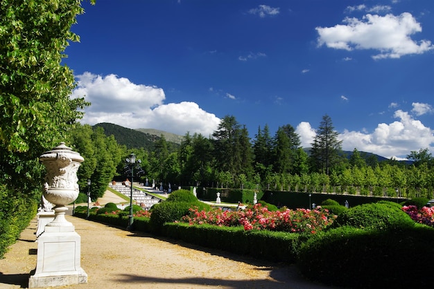 Árboles en el jardín contra el cielo