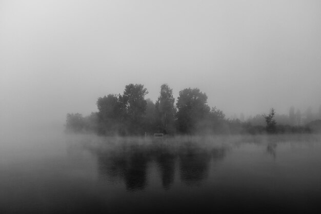 Árboles junto al lago contra el cielo durante el tiempo de niebla