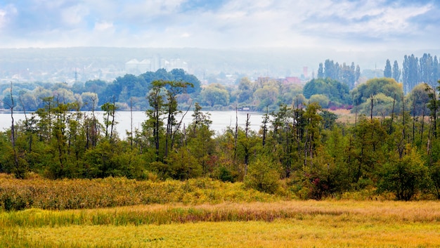 Árboles junto al paisaje del río