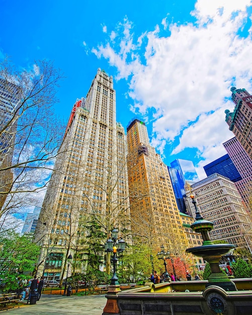 Árboles de magnolia en flor en City Hall Park en el Bajo Manhattan, Nueva York, Estados Unidos. Vista con la arquitectura Skyline of Skyscrapers en Nueva York. Fondo de la naturaleza. Paisaje urbano. Nueva York, EE. UU.