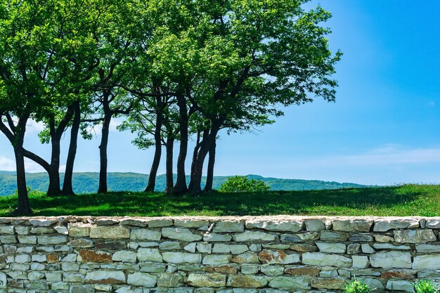 Árboles naturales del paisaje contra el cielo detrás de una cerca de piedra