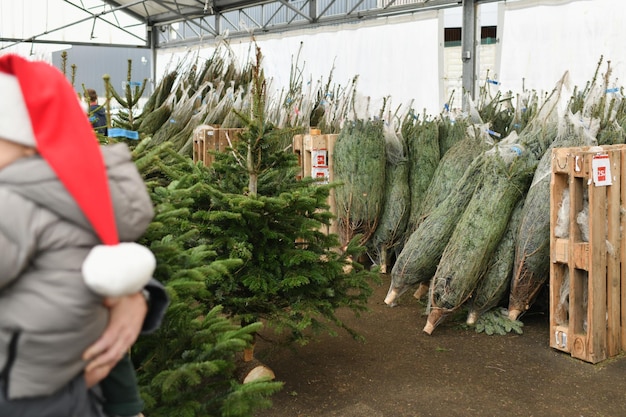 Árboles de Navidad envueltos en redes de plástico