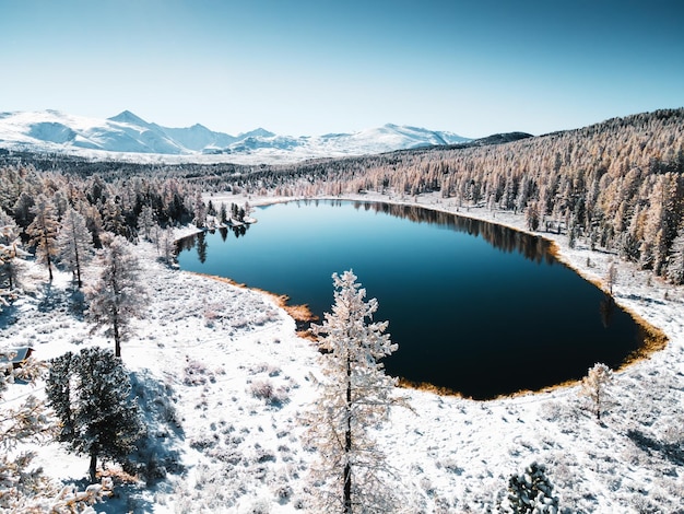 Árboles nevados y montañas Lago Kidelu en las montañas de Altai Siberia Rusia