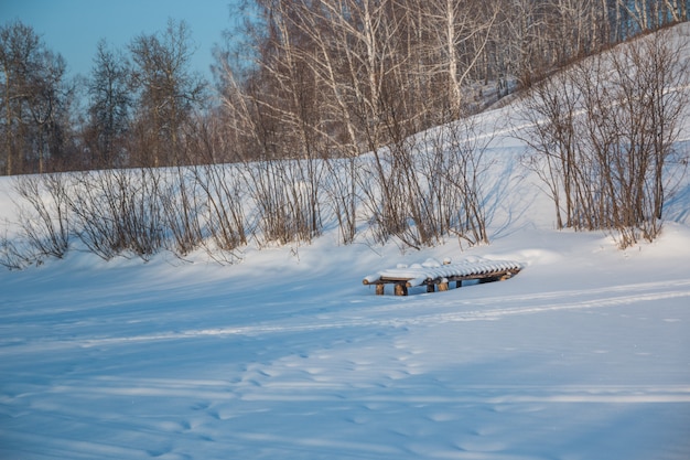Árboles nevados y nieve en invierno, Siberia
