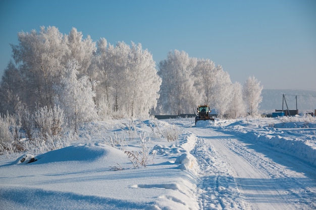 Árboles nevados y nieve en invierno, Siberia