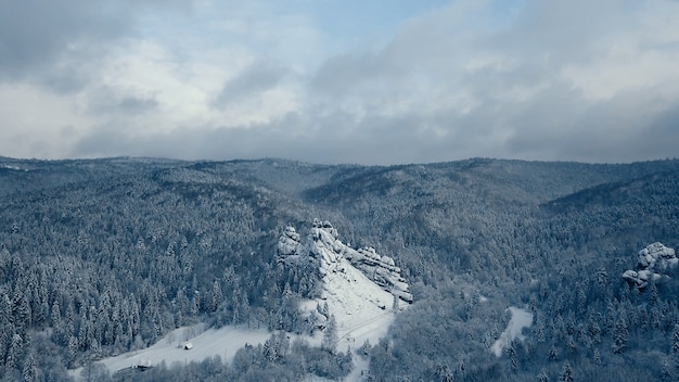 Árboles de nieve de invierno. vista aérea sobrevolar. tustan