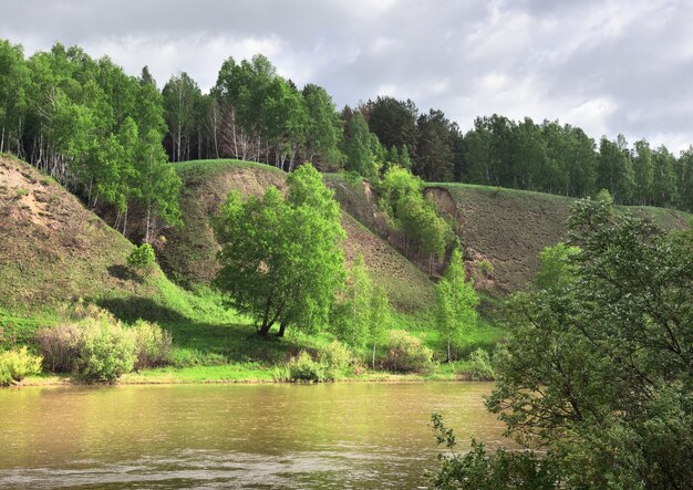 Árboles en la orilla del río Inya