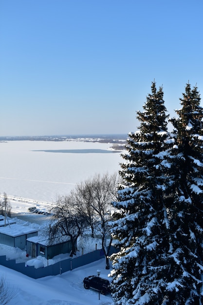 Árboles a orillas del Volga en invierno