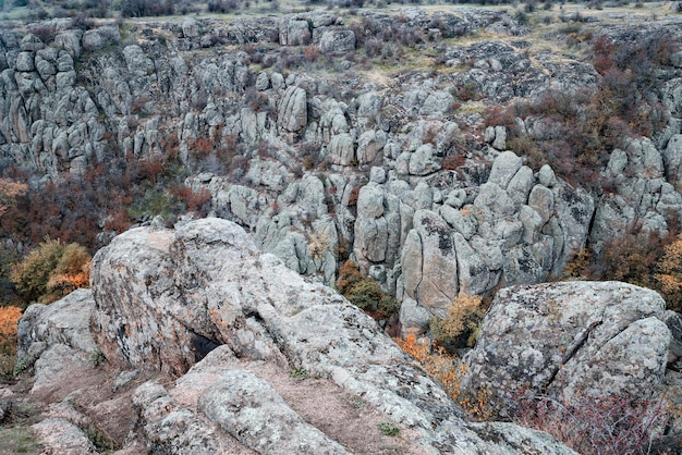 Árboles otoñales y grandes rocas de piedra alrededor