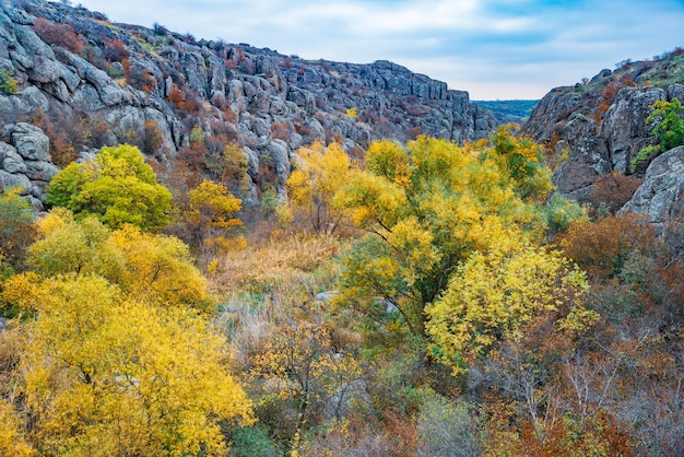 Árboles otoñales y grandes rocas de piedra alrededor