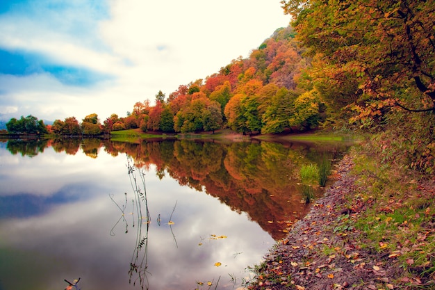 Árboles otoñales con lago