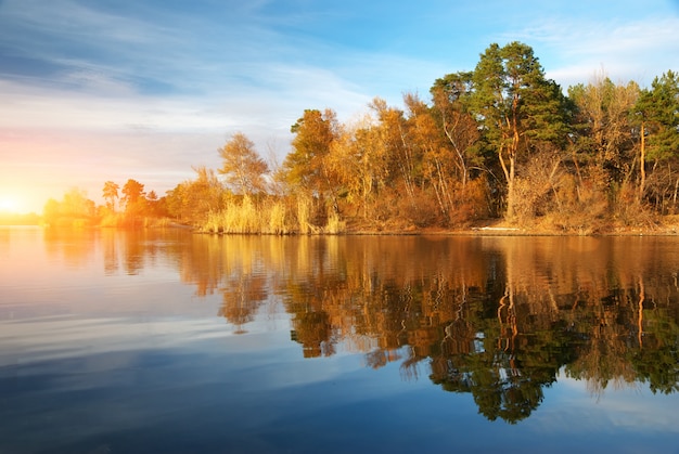 Árboles otoñales reflejándose en un estanque